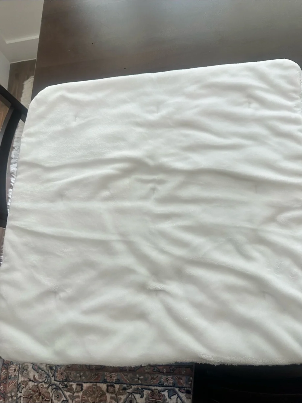 Pottery Barn sherpa Euro shams (2) 26 x 26